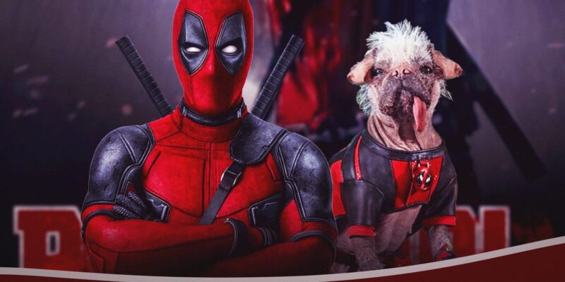 Deadpool 3 | Ryan Reynolds revelou o visual de Dogpool para a sequência.