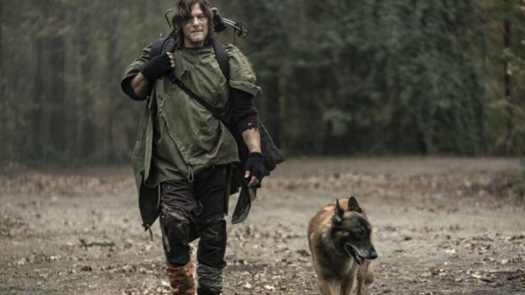 The Walking Dead Morreu Seven pastor belga que viveu cachorro de Daryl