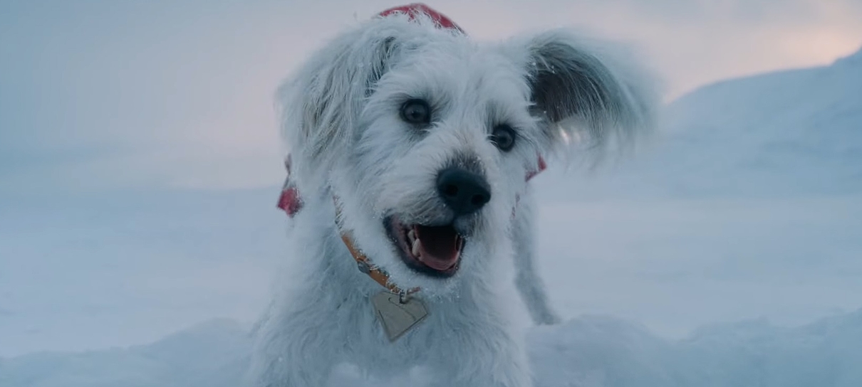 Superman ganhou vídeo com cenas inéditas de Krypto